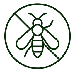insectos