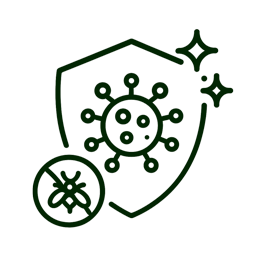 sanitizacion