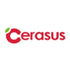 cerasus